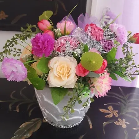 Guest house Milena 2*