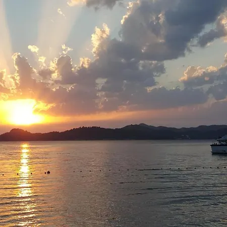 Guest house Milena 2*